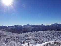 High Peaks Treeline - Winter
